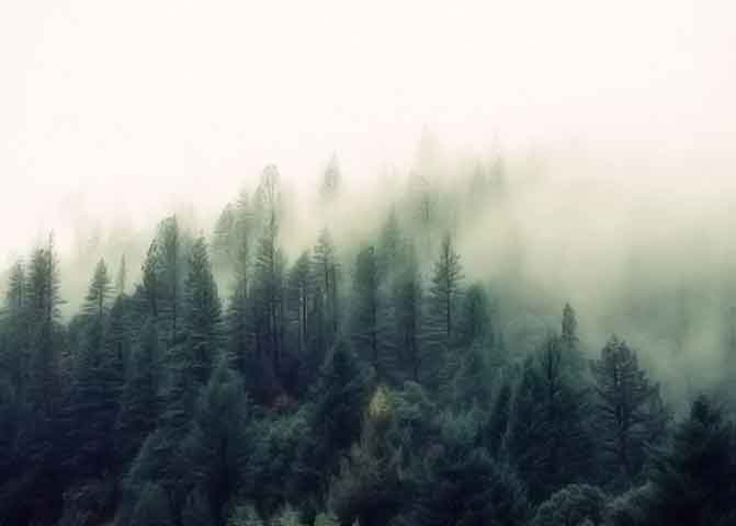 找个靠谱平台的手机号群发平台